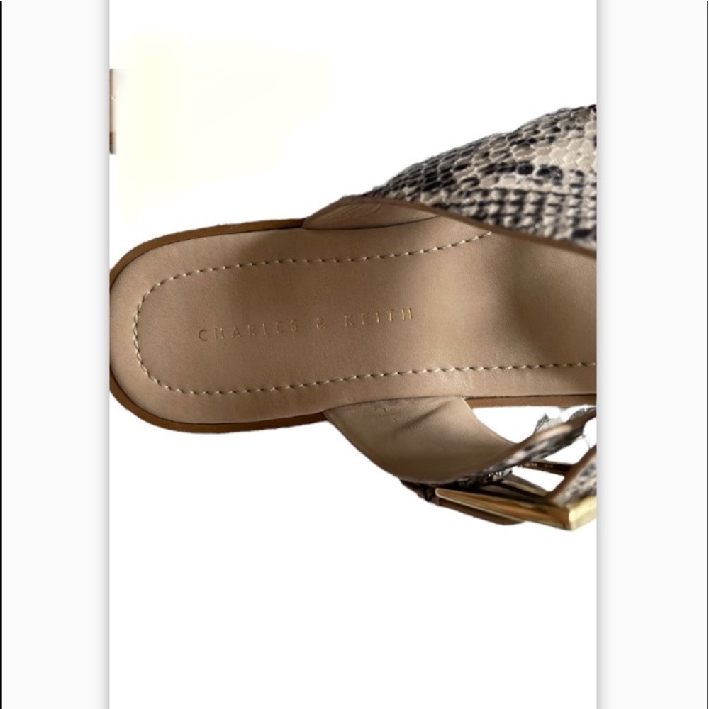 NIB Charles & Keith Snakeskin Buckle Slides Size 5.5 - Picture 2 of 8